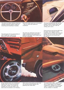 1967 Pontiac Firebird (Cdn)-11.jpg